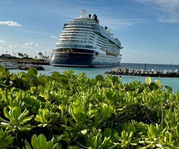 Disney Cruise Line - Disney Wish Castaway