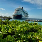 Disney Cruise Line - Disney Wish Castaway